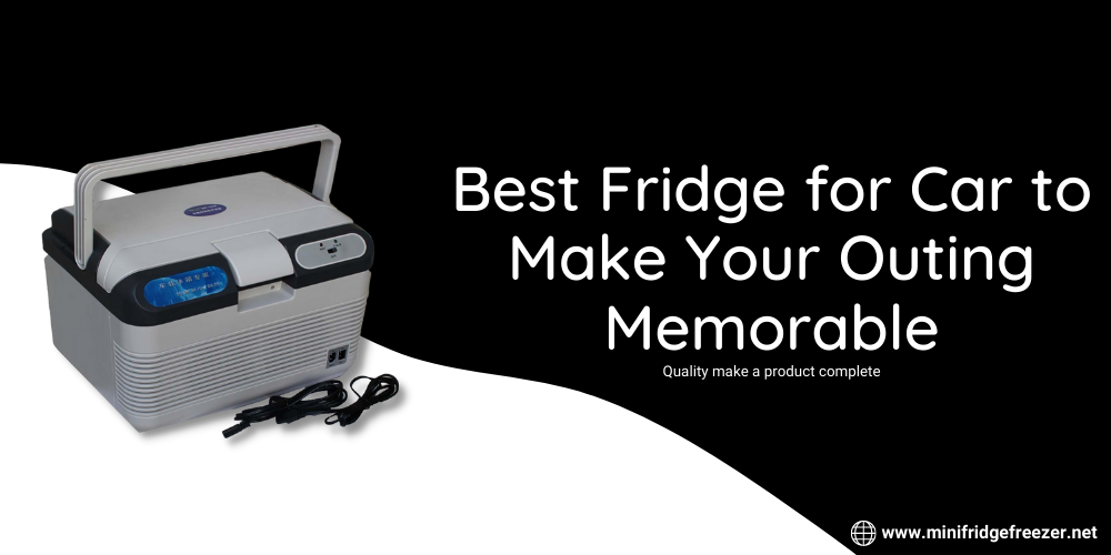 Best fridge for car to make your outing memorable