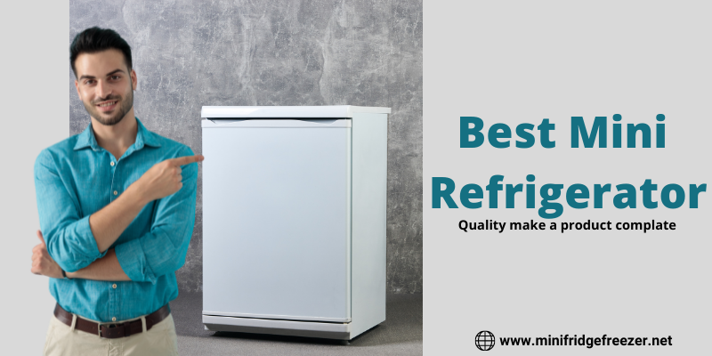Best Mini  Refrigerator (Fridge)